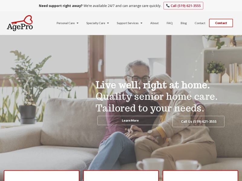 AgePro website preview